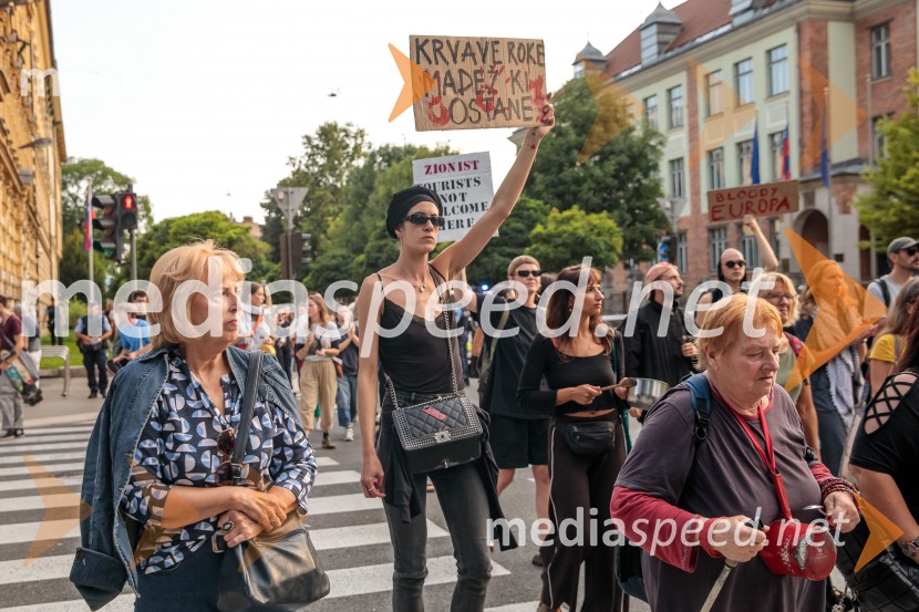 Protest civilne družbe Gaza strada, kaj dela vlada!?