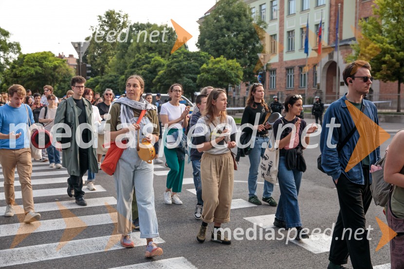 Protest civilne družbe Gaza strada, kaj dela vlada!?