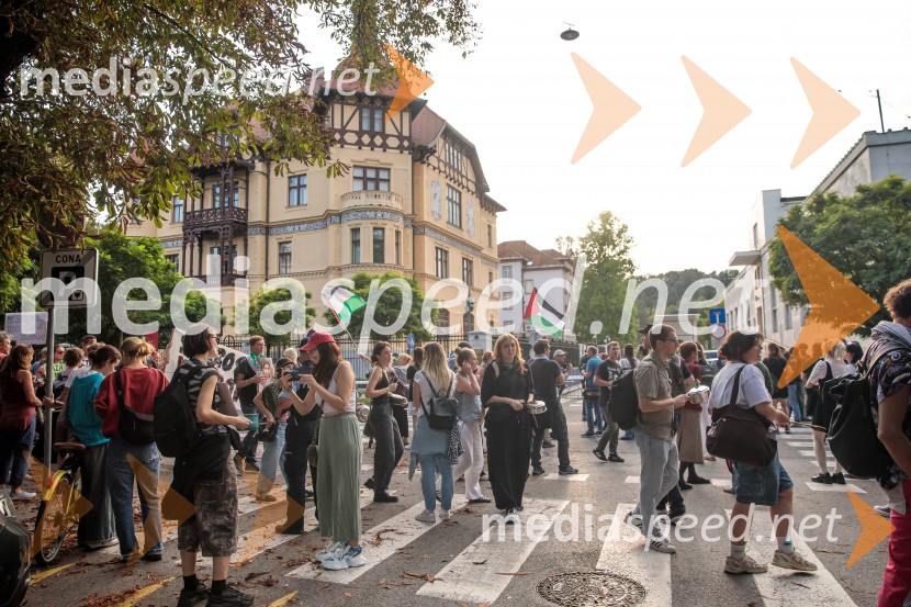 Protest civilne družbe Gaza strada, kaj dela vlada!?