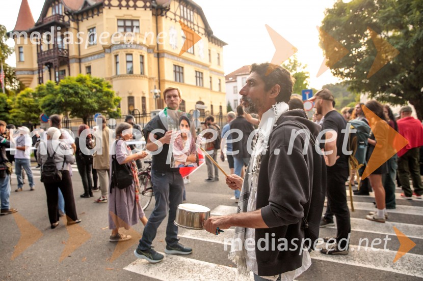 Protest civilne družbe Gaza strada, kaj dela vlada!?