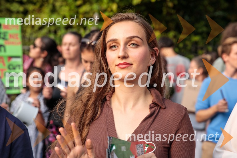 Protest civilne družbe Gaza strada, kaj dela vlada!?