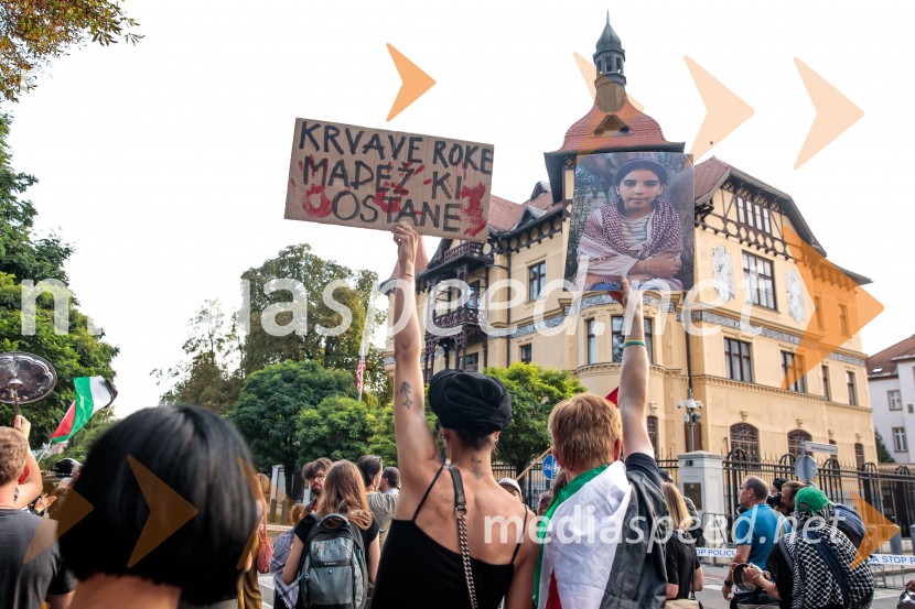 Protest civilne družbe Gaza strada, kaj dela vlada!?