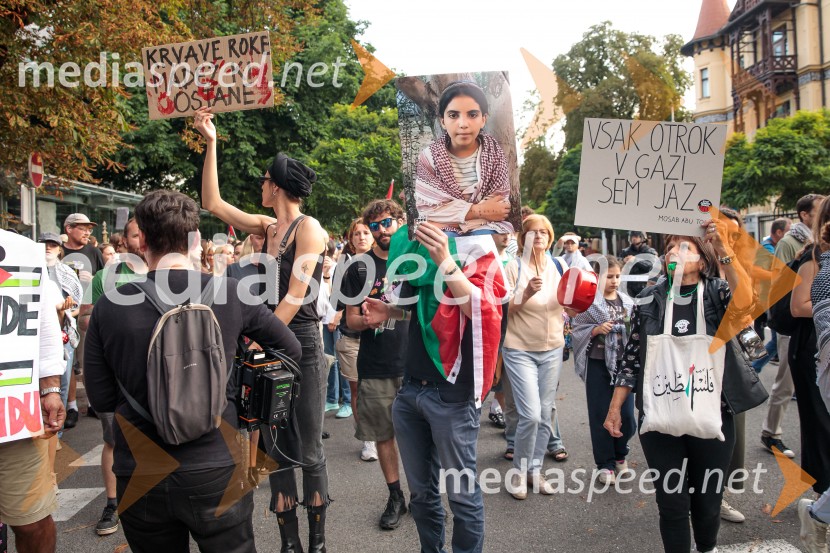 Protest civilne družbe Gaza strada, kaj dela vlada!?