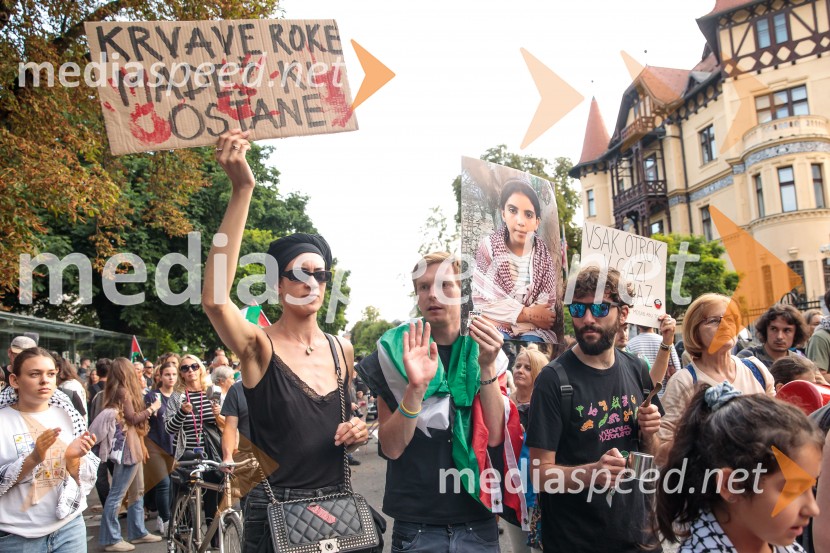 Protest civilne družbe Gaza strada, kaj dela vlada!?