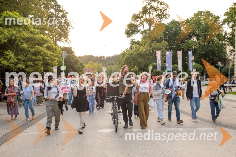Protest civilne družbe Gaza strada, kaj dela vlada!?