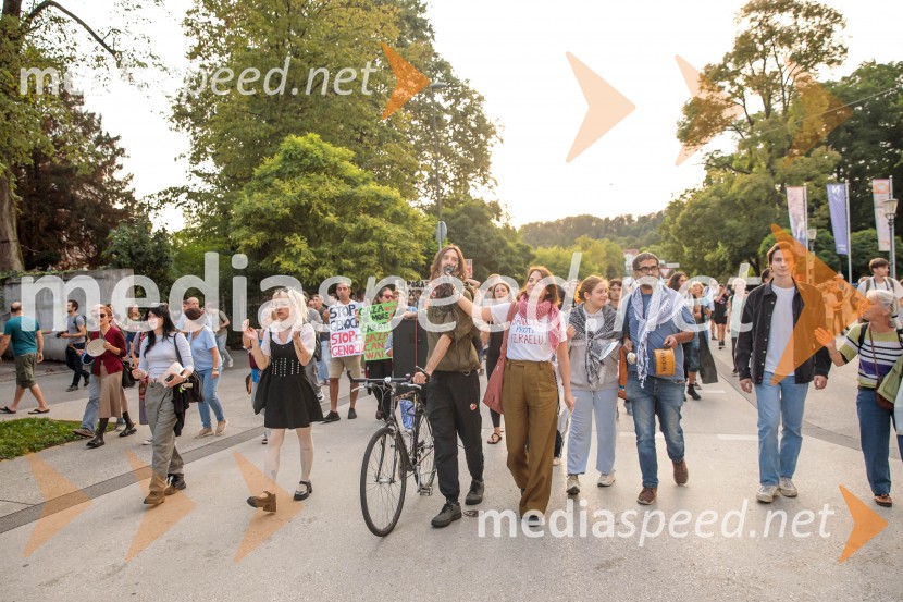 Protest civilne družbe Gaza strada, kaj dela vlada!?