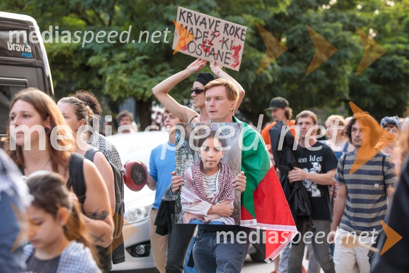 Protest civilne družbe Gaza strada, kaj dela vlada!?