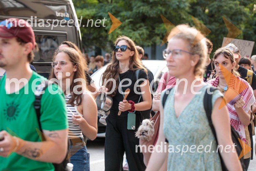 Protest civilne družbe Gaza strada, kaj dela vlada!?