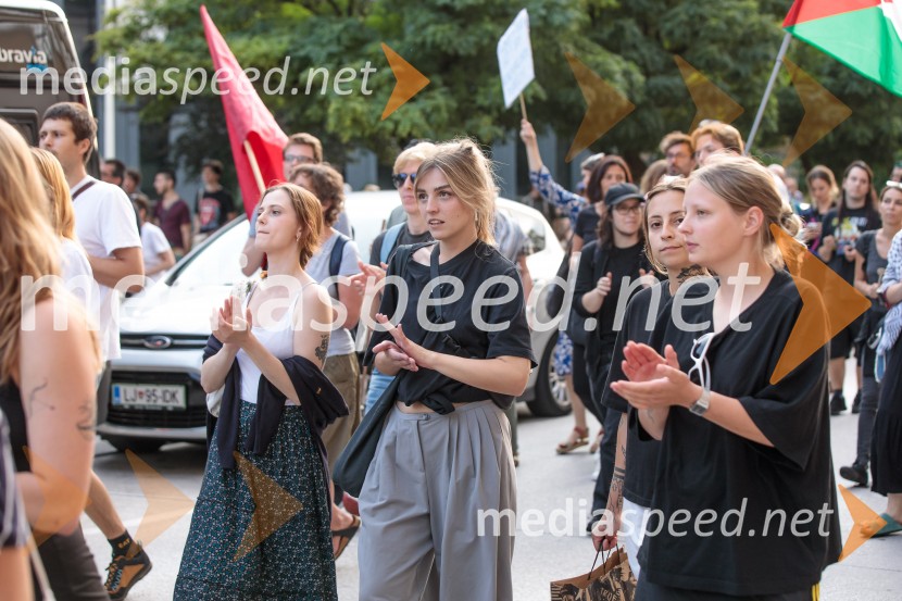 Protest civilne družbe Gaza strada, kaj dela vlada!?