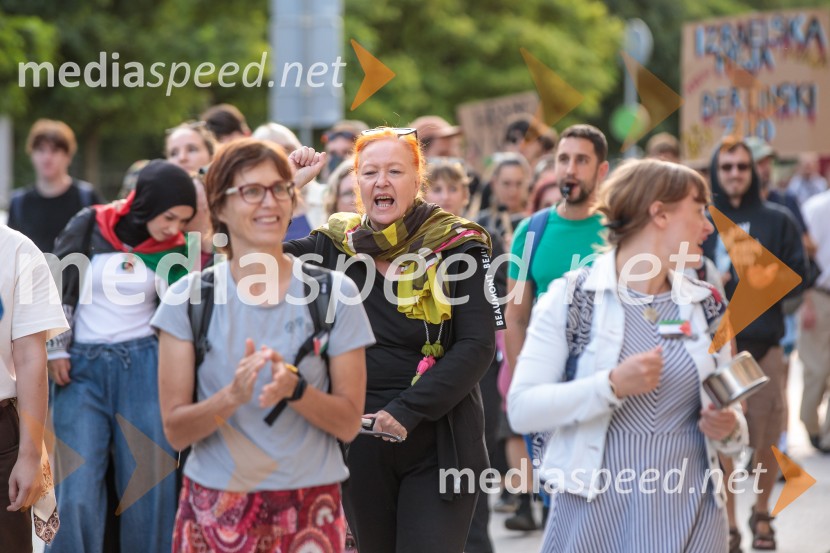Protest civilne družbe Gaza strada, kaj dela vlada!?