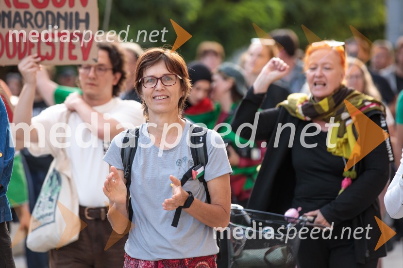 Protest civilne družbe Gaza strada, kaj dela vlada!?