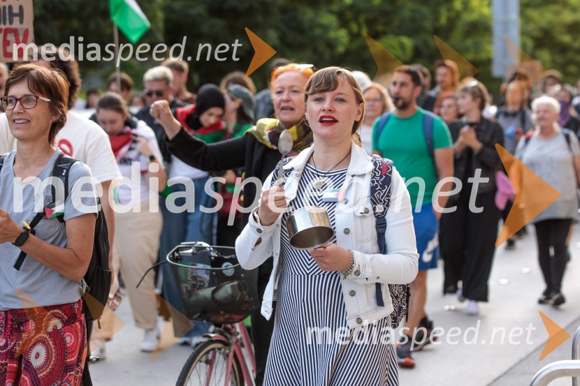 Protest civilne družbe Gaza strada, kaj dela vlada!?