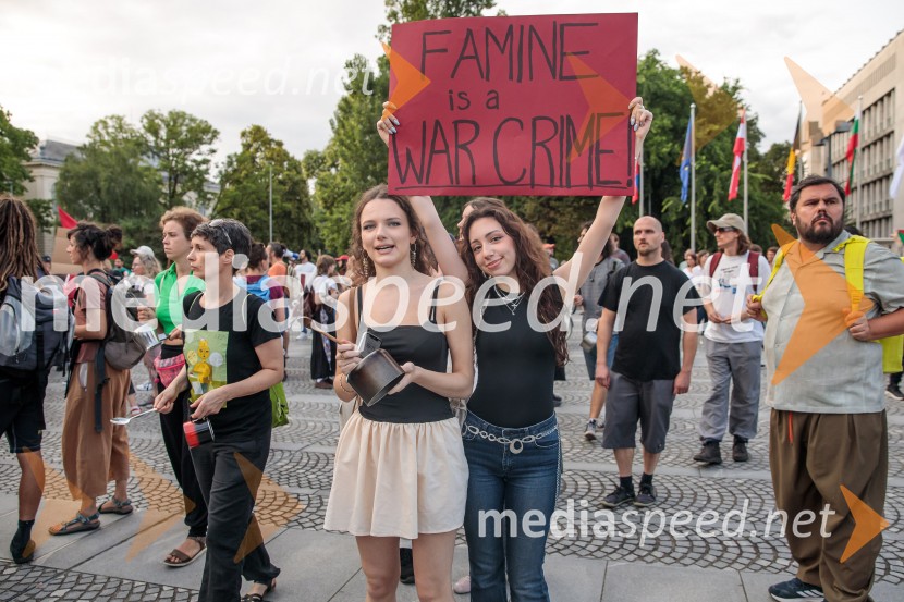 Protest civilne družbe Gaza strada, kaj dela vlada!?