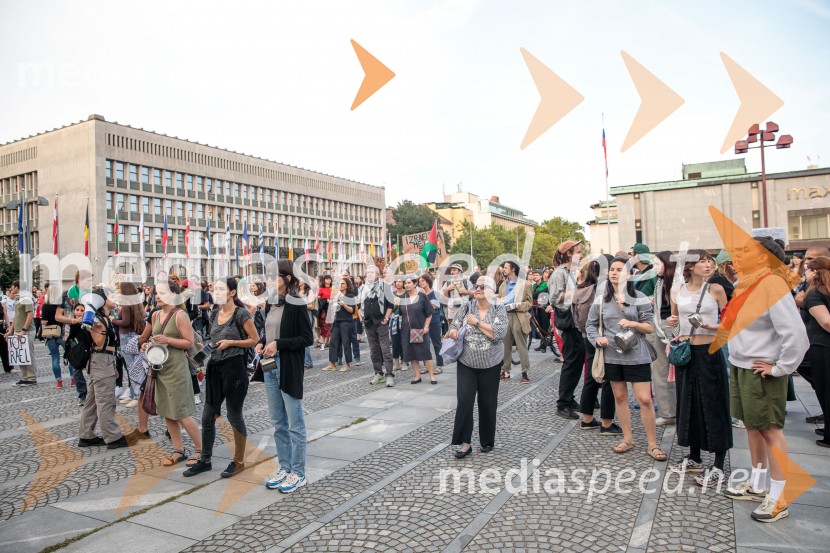 Protest civilne družbe Gaza strada, kaj dela vlada!?