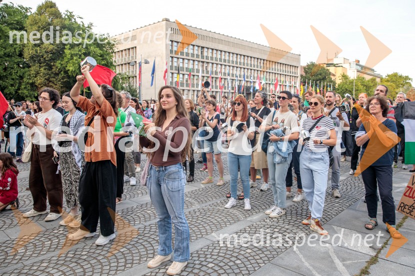 Protest civilne družbe Gaza strada, kaj dela vlada!?