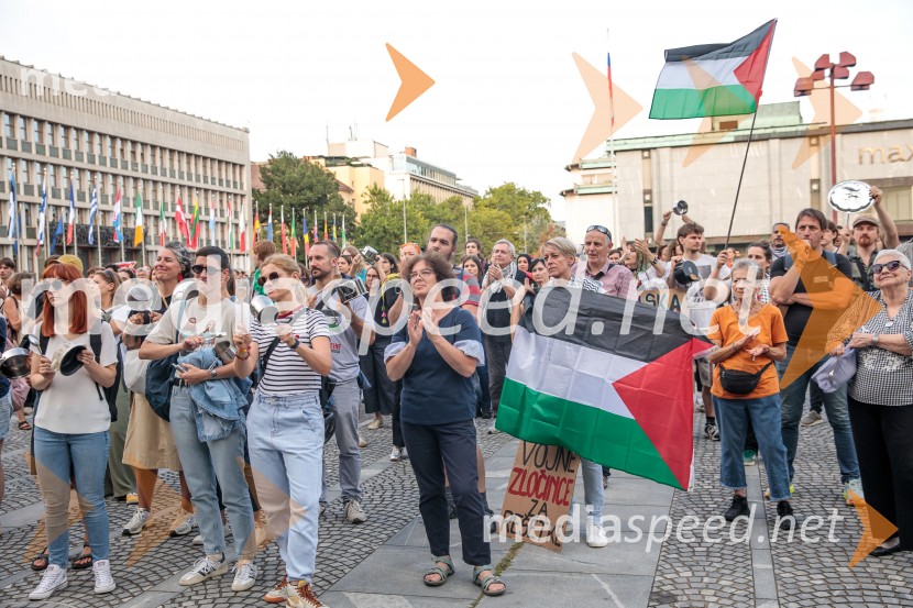 Protest civilne družbe Gaza strada, kaj dela vlada!?