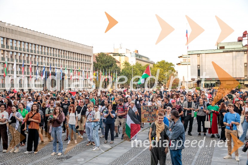 Protest civilne družbe Gaza strada, kaj dela vlada!?