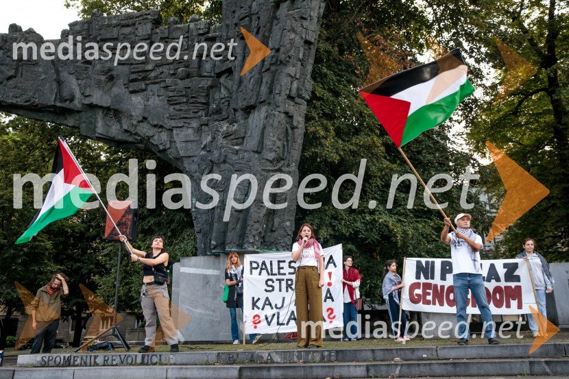 Protest civilne družbe Gaza strada, kaj dela vlada!?