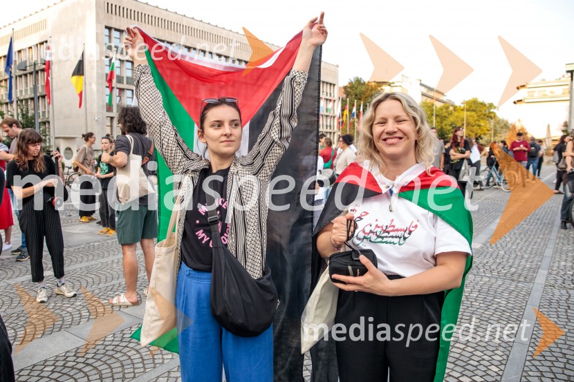 Protest civilne družbe Gaza strada, kaj dela vlada!?
