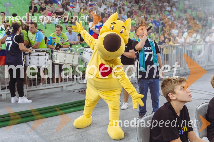 Slovenija : Nemčija, Košarka