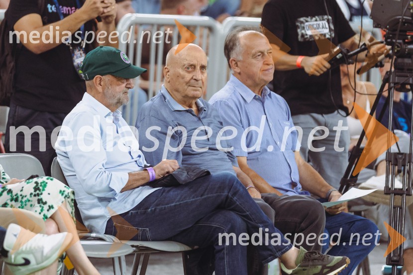 Slovenija : Nemčija, Košarka