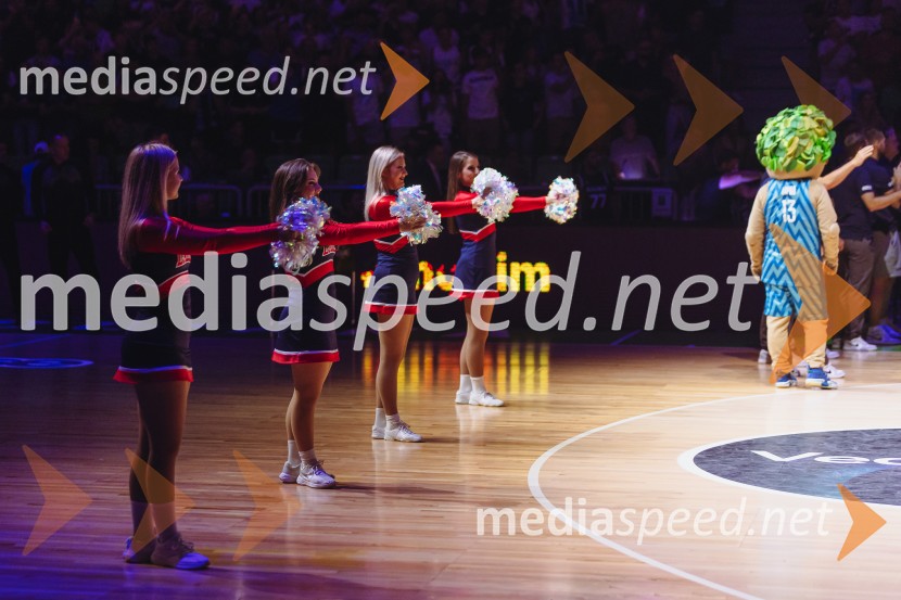 Slovenija : Nemčija, Košarka