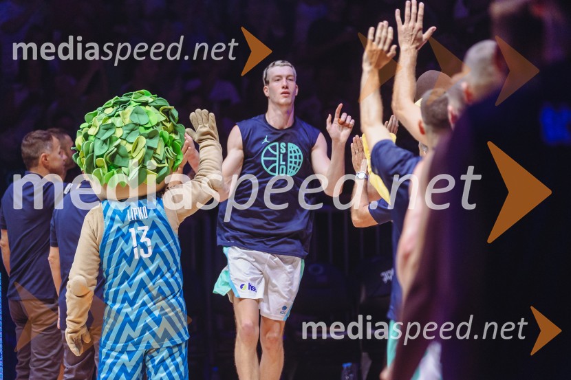 Slovenija : Nemčija, Košarka