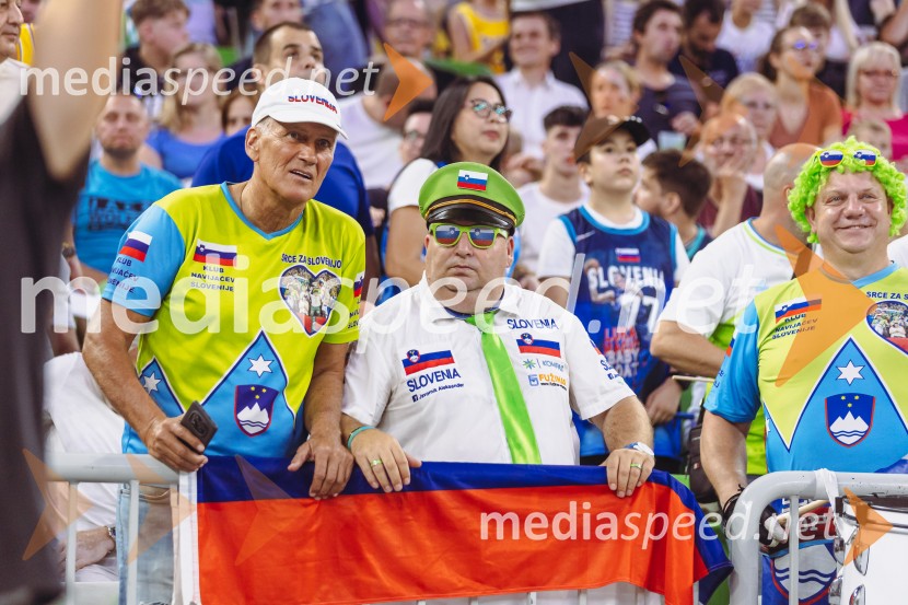 Slovenija : Nemčija, Košarka