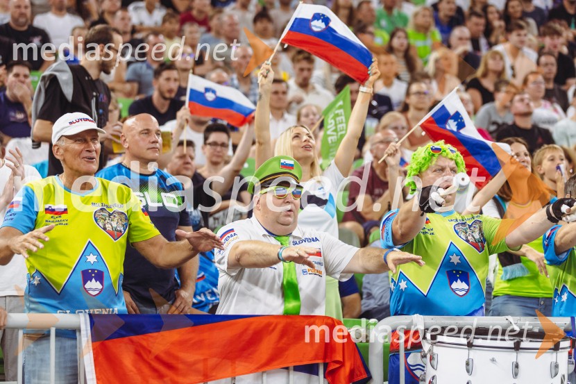 Slovenija : Nemčija, Košarka