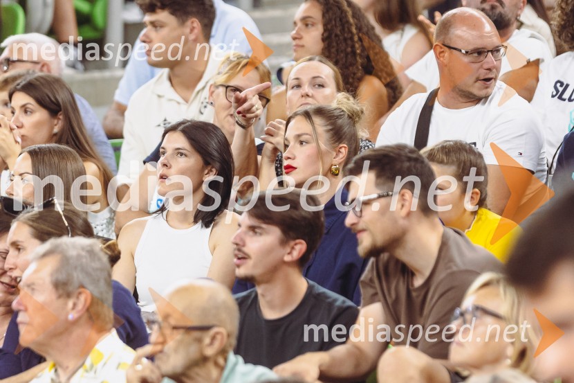 Slovenija : Nemčija, Košarka