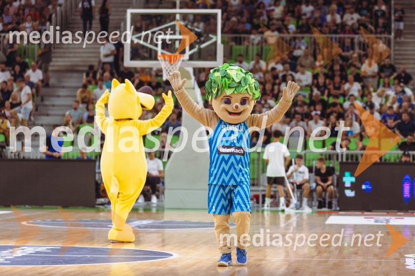 Slovenija : Nemčija, Košarka