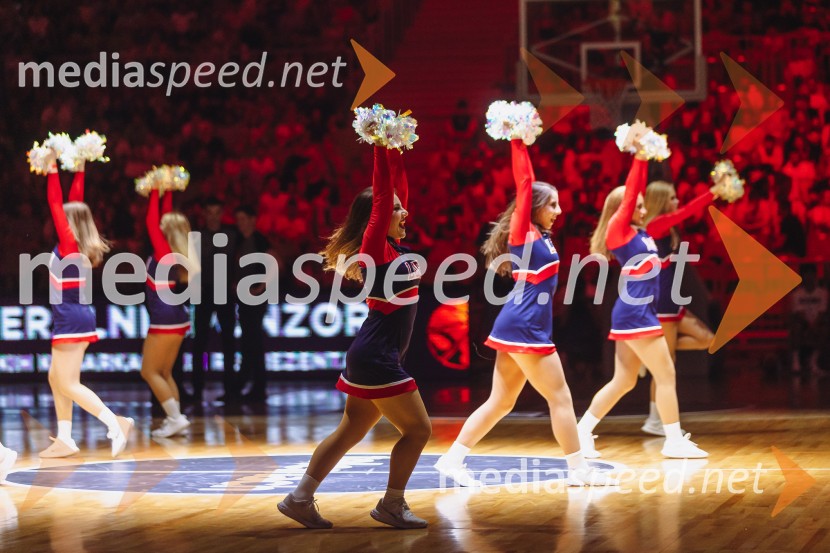 Slovenija : Nemčija, Košarka