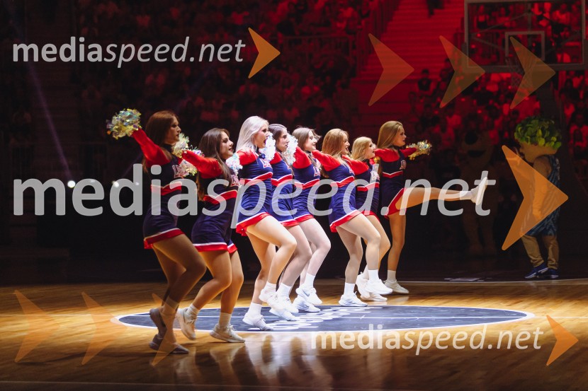 Slovenija : Nemčija, Košarka