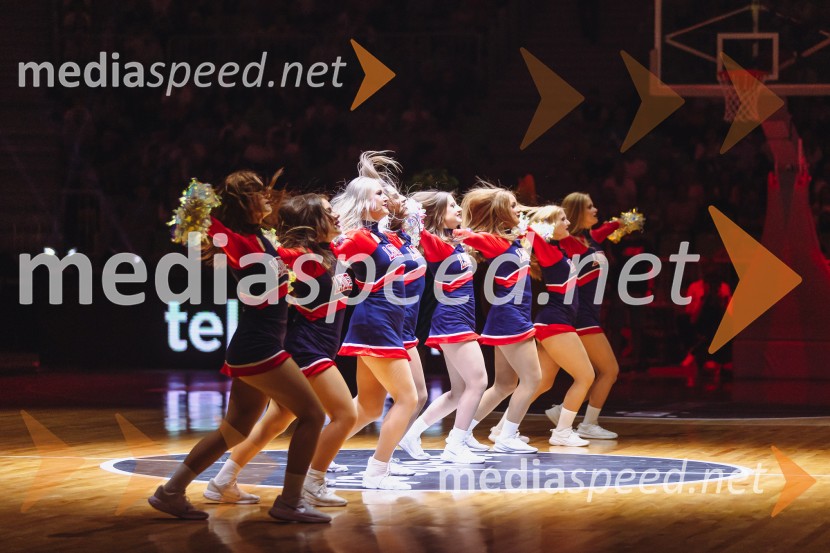 Slovenija : Nemčija, Košarka