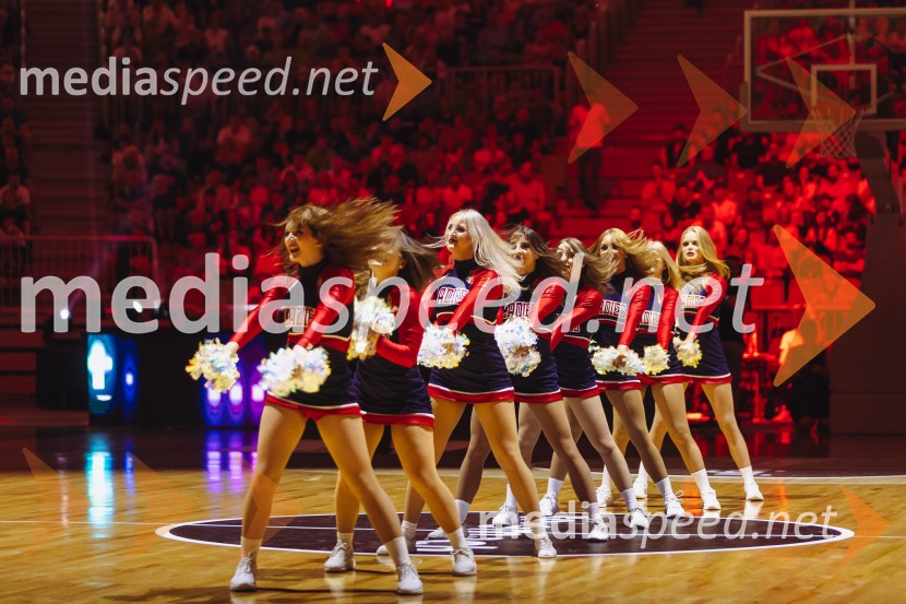 Slovenija : Nemčija, Košarka