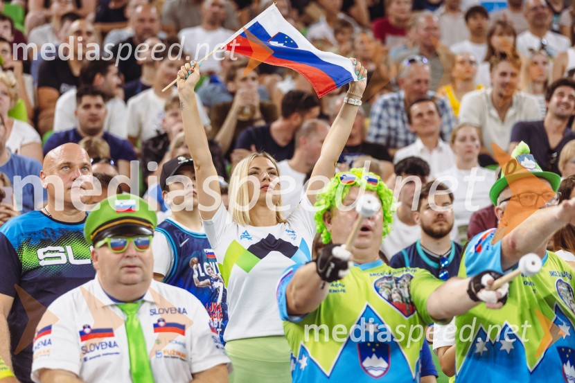 Slovenija : Nemčija, Košarka