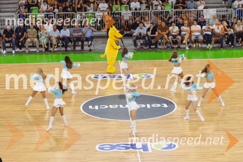 Slovenija : Nemčija, Košarka