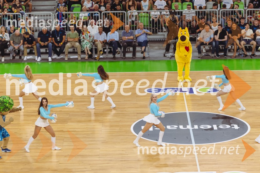 Slovenija : Nemčija, Košarka