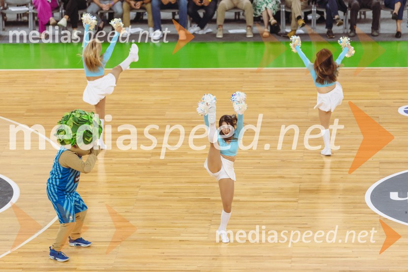 Slovenija : Nemčija, Košarka