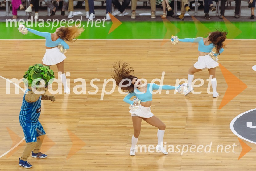 Slovenija : Nemčija, Košarka