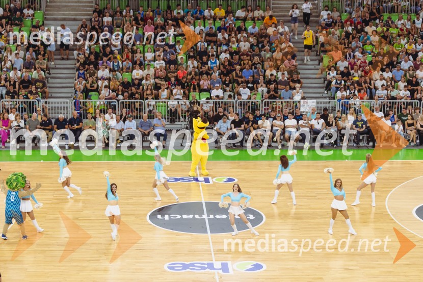 Slovenija : Nemčija, Košarka