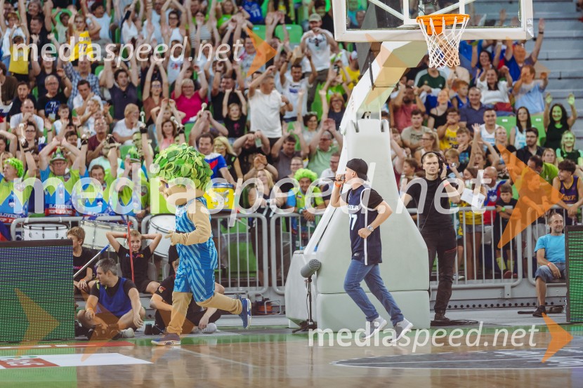 Slovenija : Nemčija, Košarka