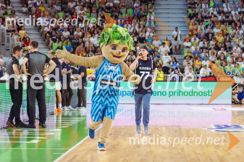 Slovenija : Nemčija, Košarka