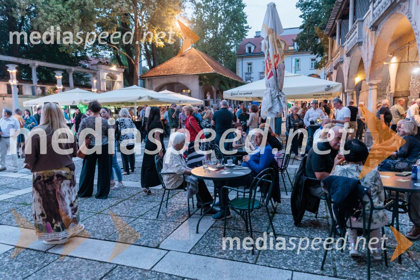 Rade Šerbedžija: Moj klobuk ima 3 luknje, Ljubljana Festival