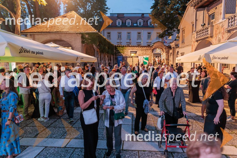 Rade Šerbedžija: Moj klobuk ima 3 luknje, Ljubljana Festival