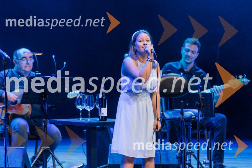 Rade Šerbedžija: Moj klobuk ima 3 luknje, Ljubljana Festival