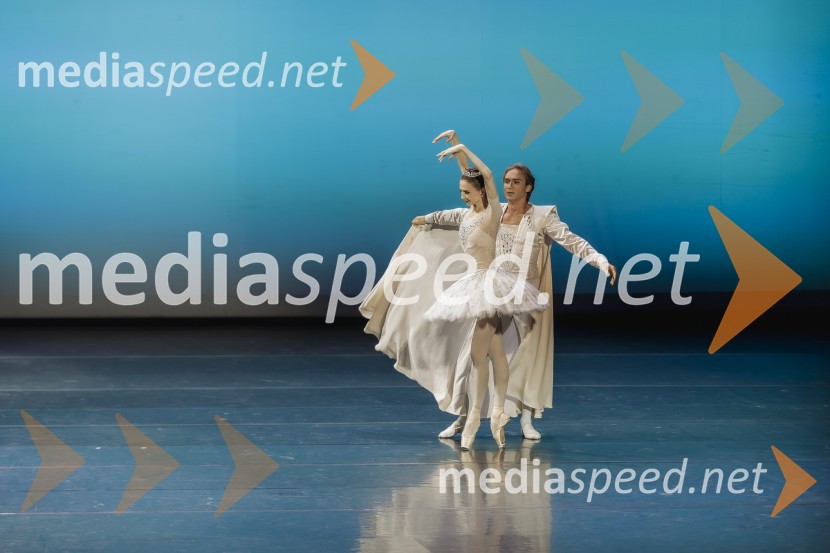  Svetlana Zaharova , baletna plesalkaSvetlana Zaharova & Vadim Repin s prireditvijo Pas-De-Deux For Toes and Fingers