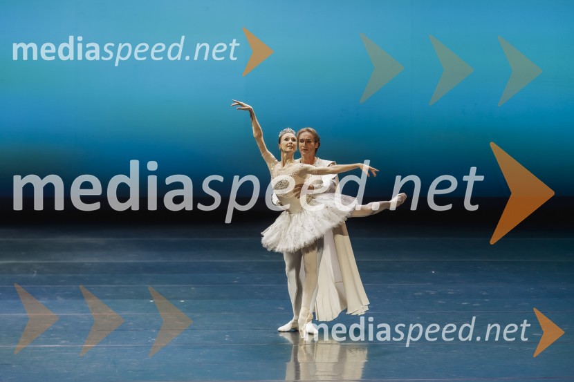  Svetlana Zaharova , baletna plesalka;  ... Svetlana Zaharova & Vadim Repin s prireditvijo Pas-De-Deux For Toes and Fingers