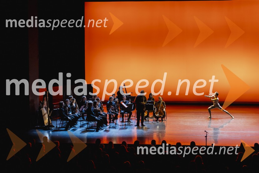 Svetlana Zaharova & Vadim Repin s prireditvijo Pas-De-Deux For Toes and Fingers