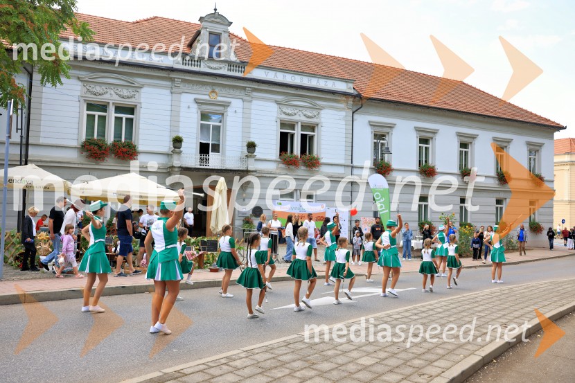 Bogračfest 2025: kulinarični vrhunec Festivala Vinarium